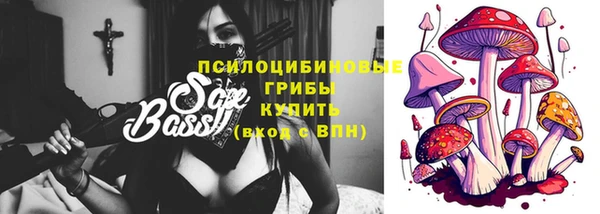 прущий лед Арсеньев